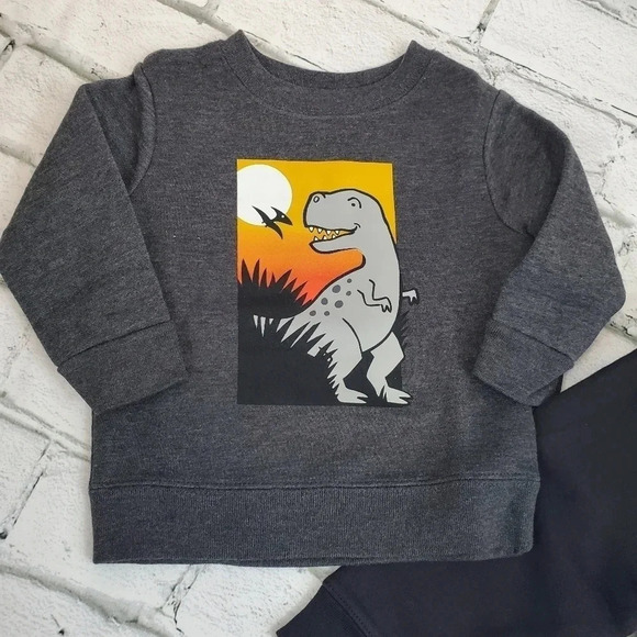 Grey and Black TREX Boys Fleece Lined Sweatshirt and Sweatpants Matching Set - Picture 2 of 9